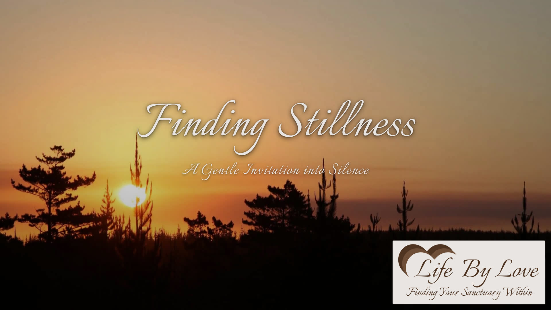 Finding Stillness