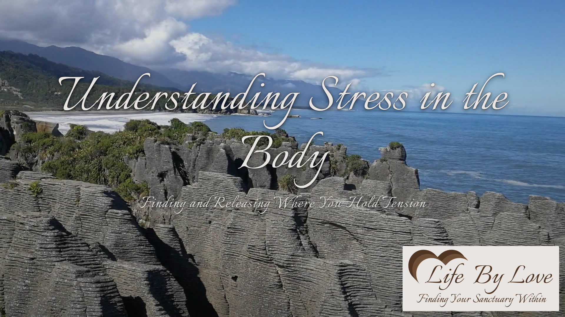 Understanding Stress in the Body